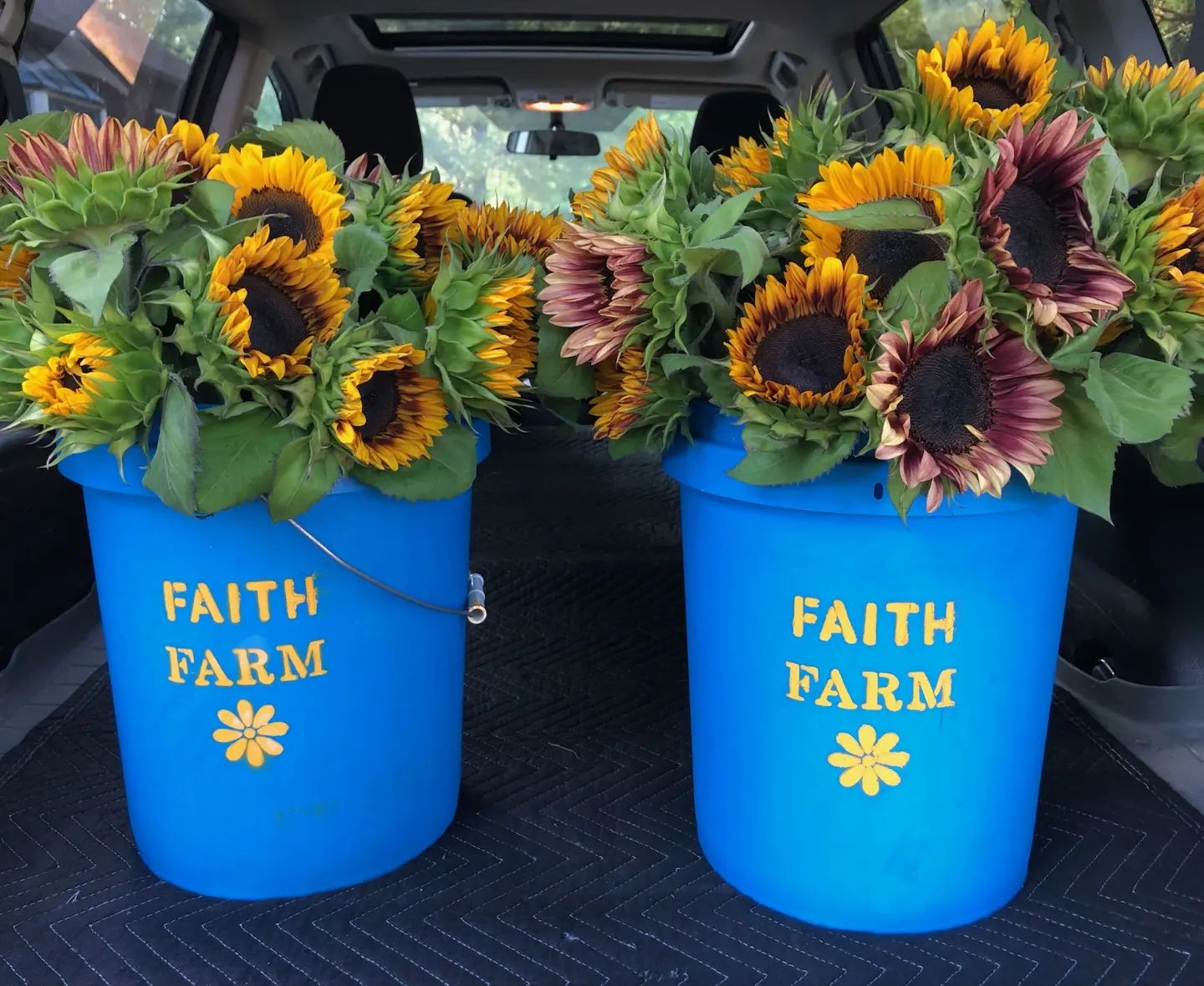 Faith Flower Farm Home