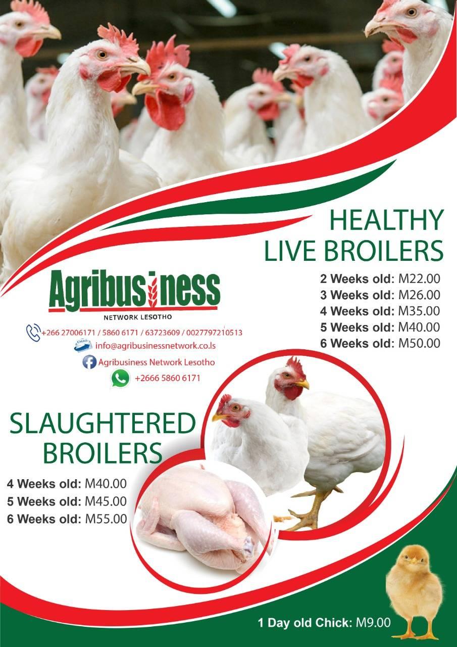 BROILERS CHICKENS PRICE... - Agribusiness Network Lesotho | Facebook