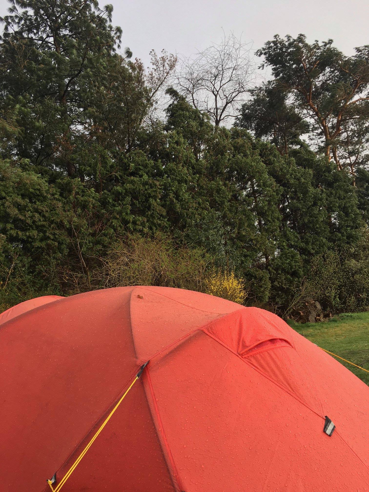 flag for tent Custom Canopy with Full Back Wall, Half Side Walls & Feather Flags Material:Kunstleder camping or tailgates Martina Eitner-Acheampong Movies & Sigma Follow Focus Gears