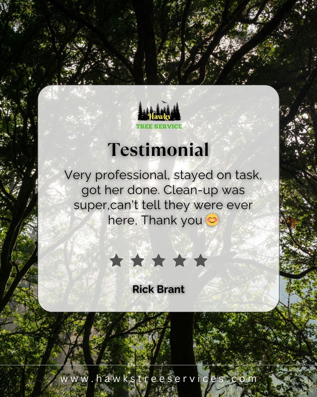 🧐 Did you know? Tree roots are the... - Hawks Tree Services | Facebook
