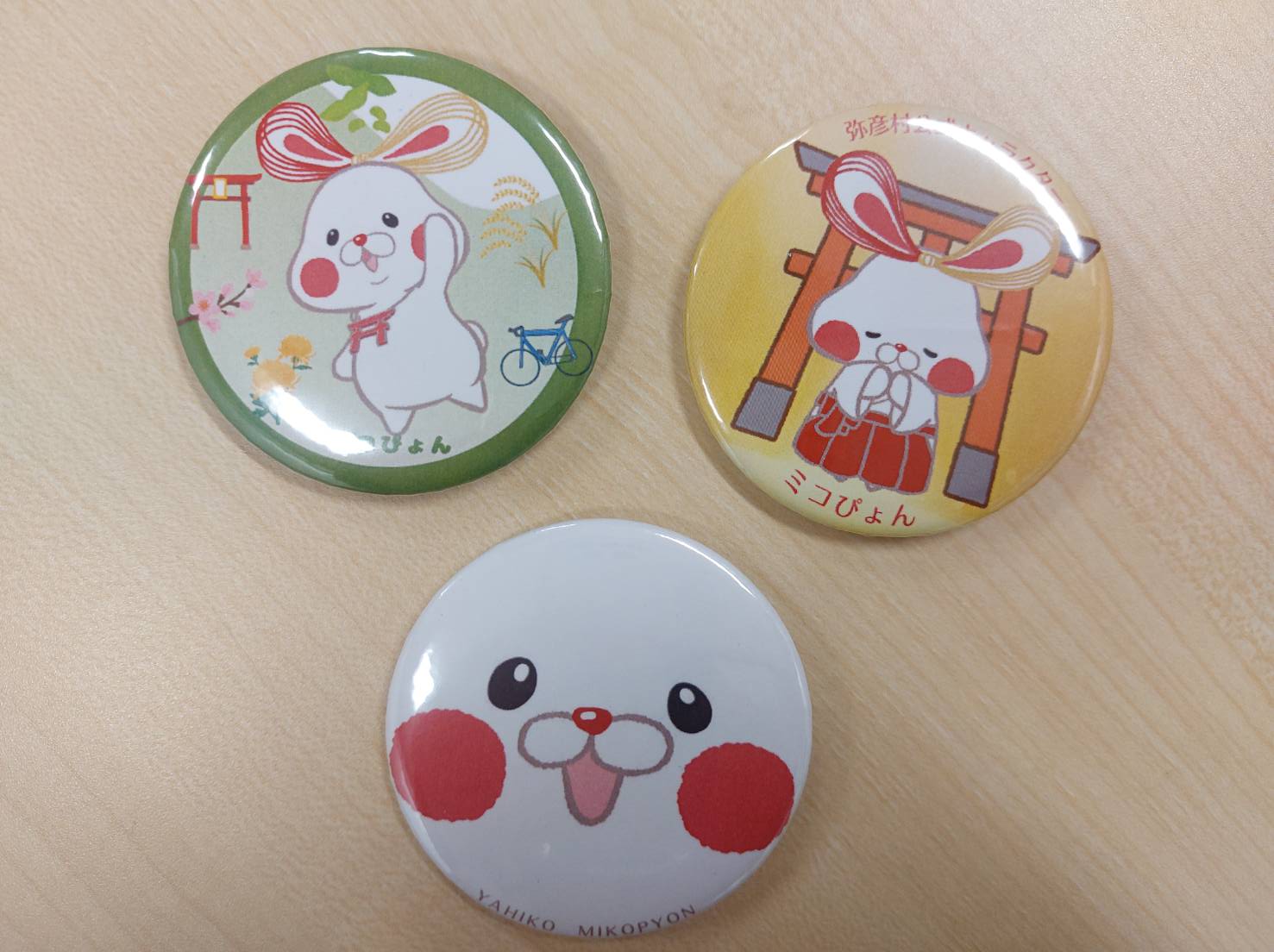 弥彦観光協会 - 📣ピンポンパンぴょ～ん🐰 ついに・・・ついに