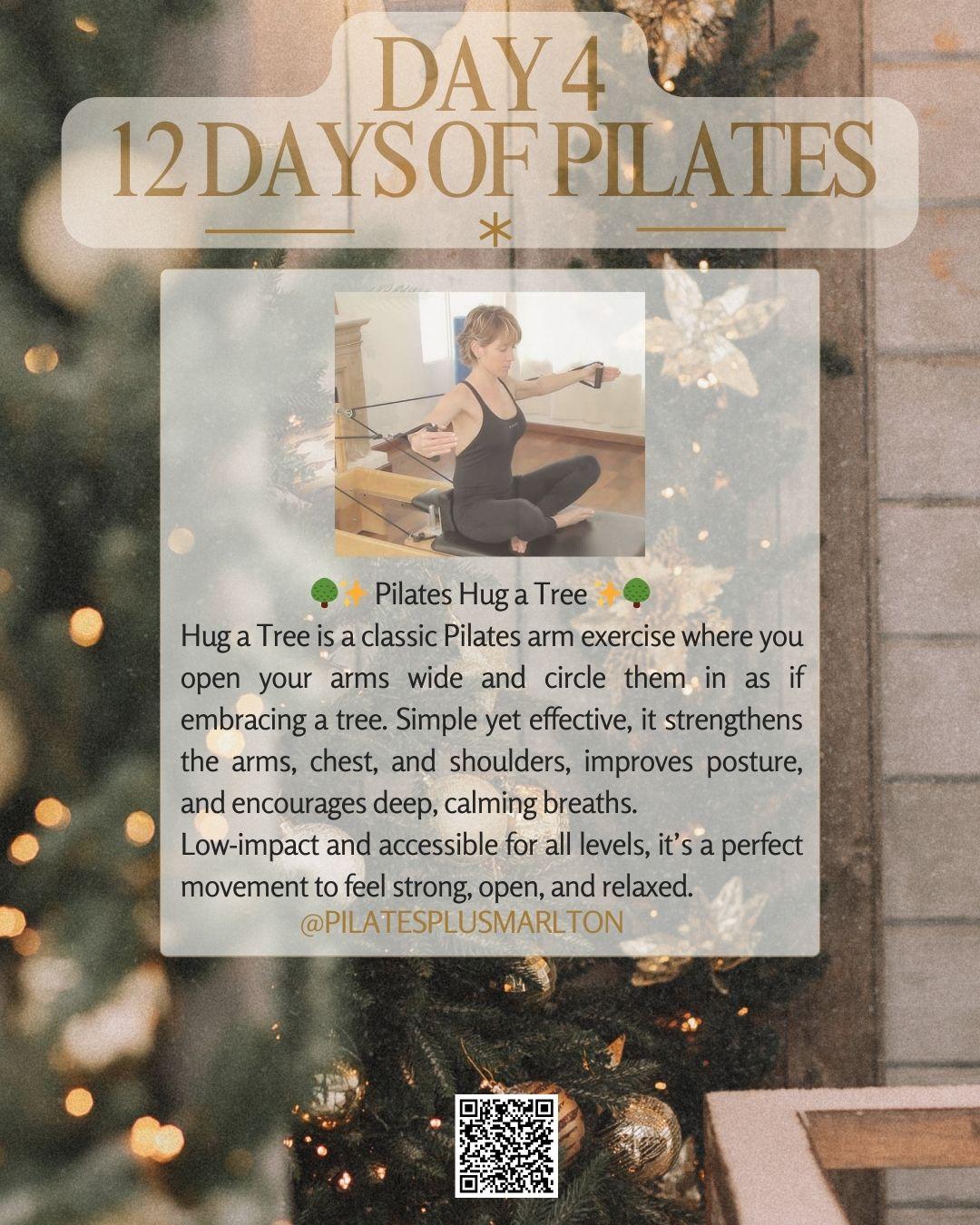 🌳 Pilates Hug a Tree: Gentle Strength... - Restoration Yoga | Facebook