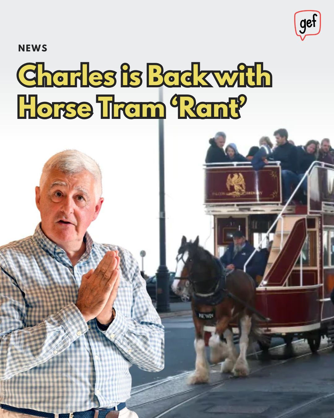 Gef - Have you watched Charles Guard's latest video? 🐴 'You must think ...