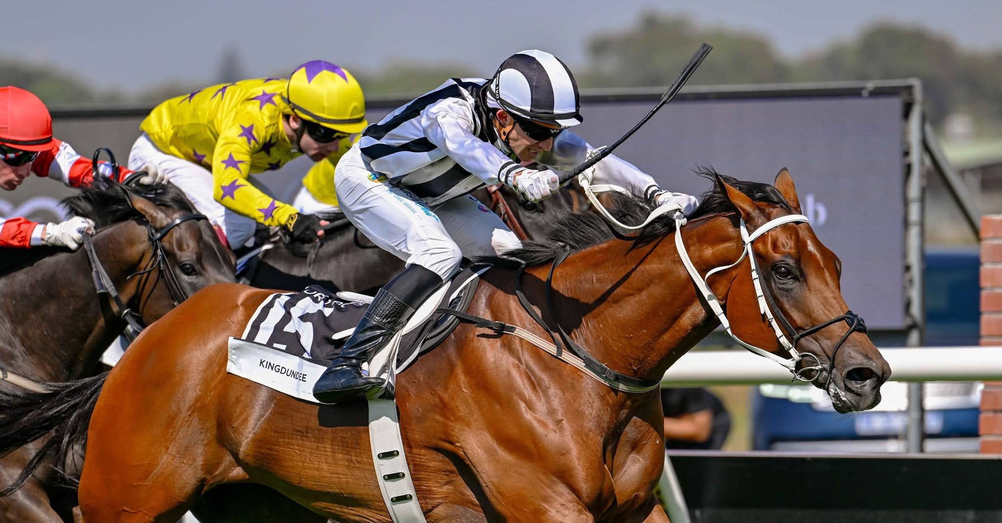 Dean Smith Racing Stables... - Dean Smith Racing Stables