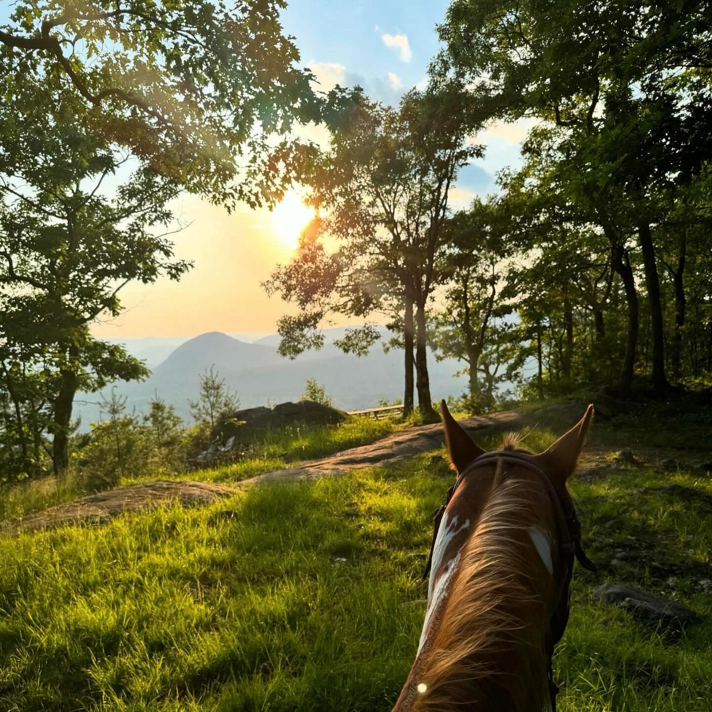 Mountain View Rocking B Ranch | Lake Luzerne NY