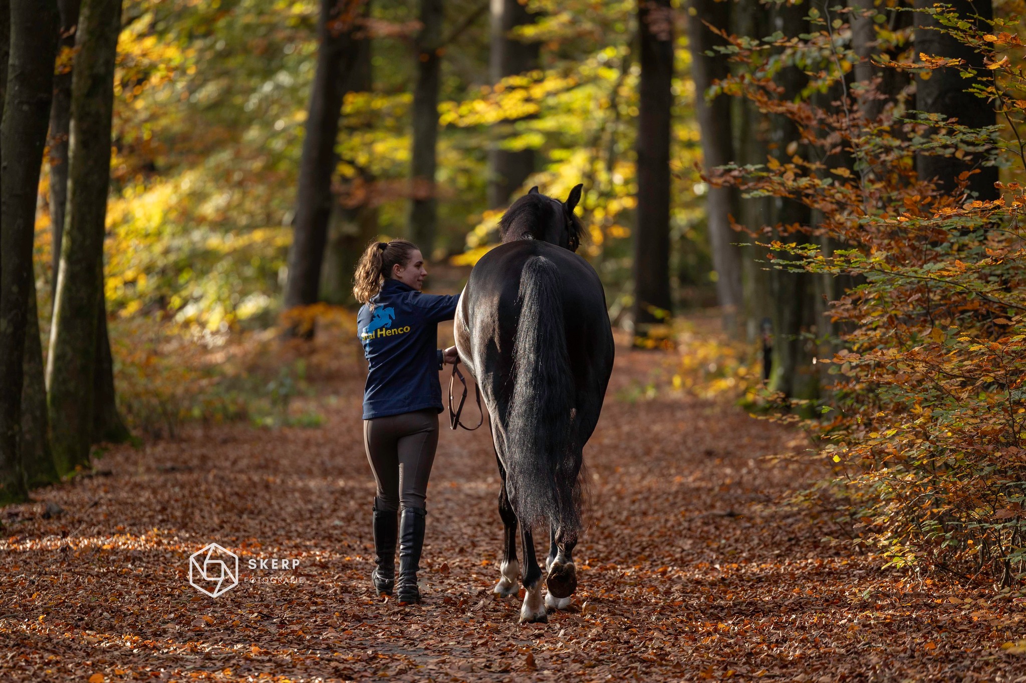 Auke de Jong Stables added a new photo. - Auke de Jong Stables