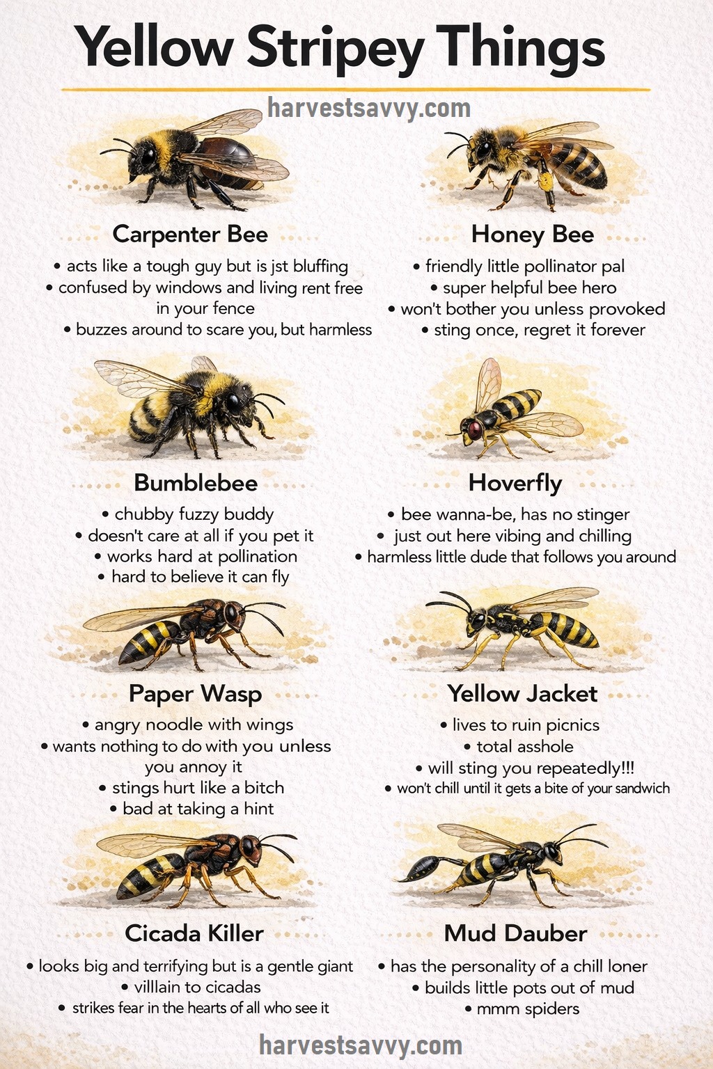 Gardening - Understanding Yellow-Striped Insects: Who They Are and How ...