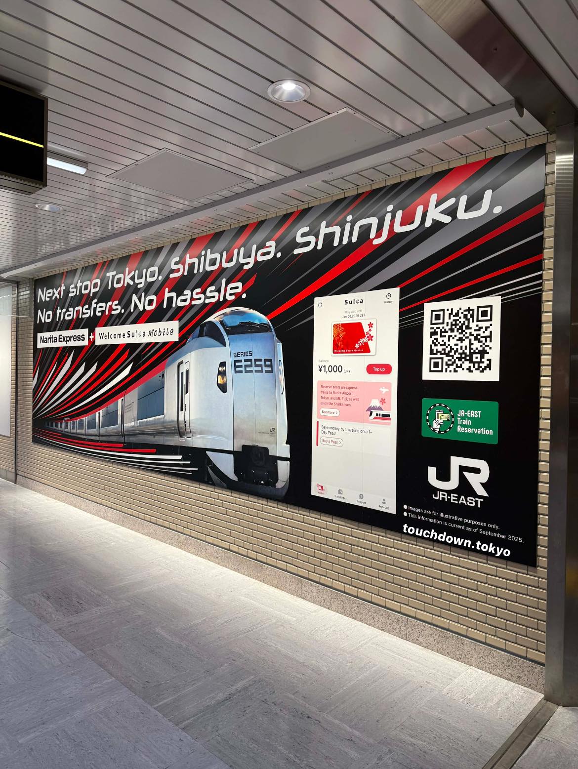 Touchdown - Narita Express, Series E259, your easy way of traveling ...