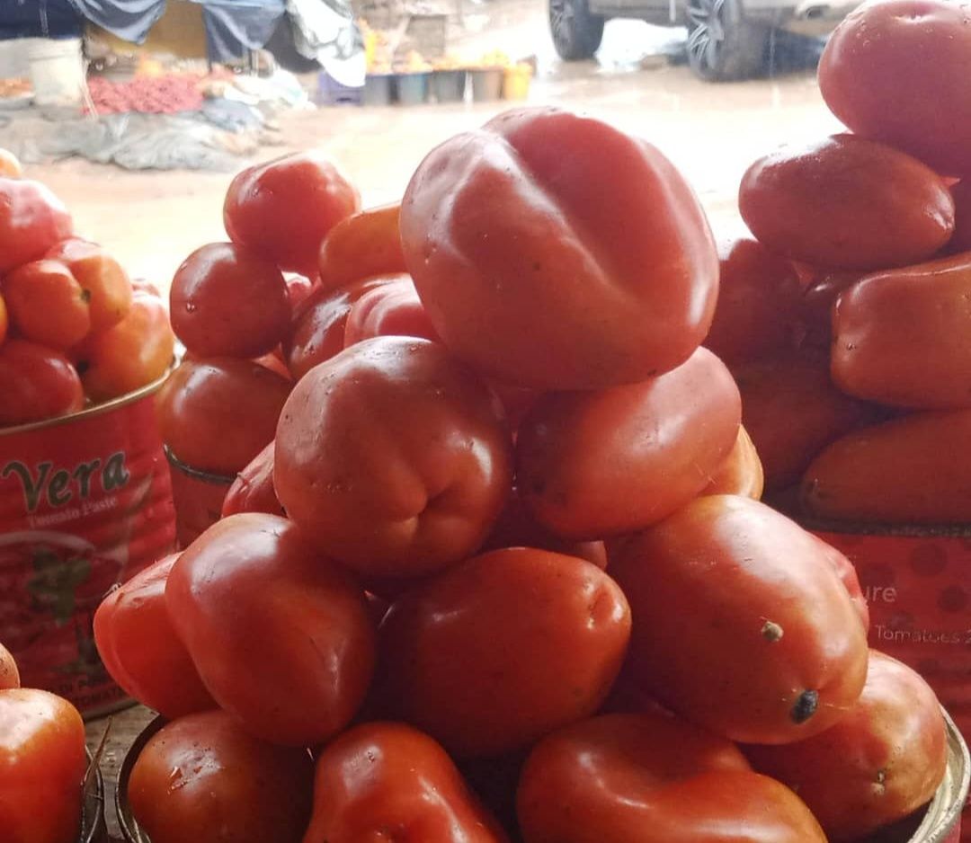 Do you know how to write tomato in Japanese? :D cre by me