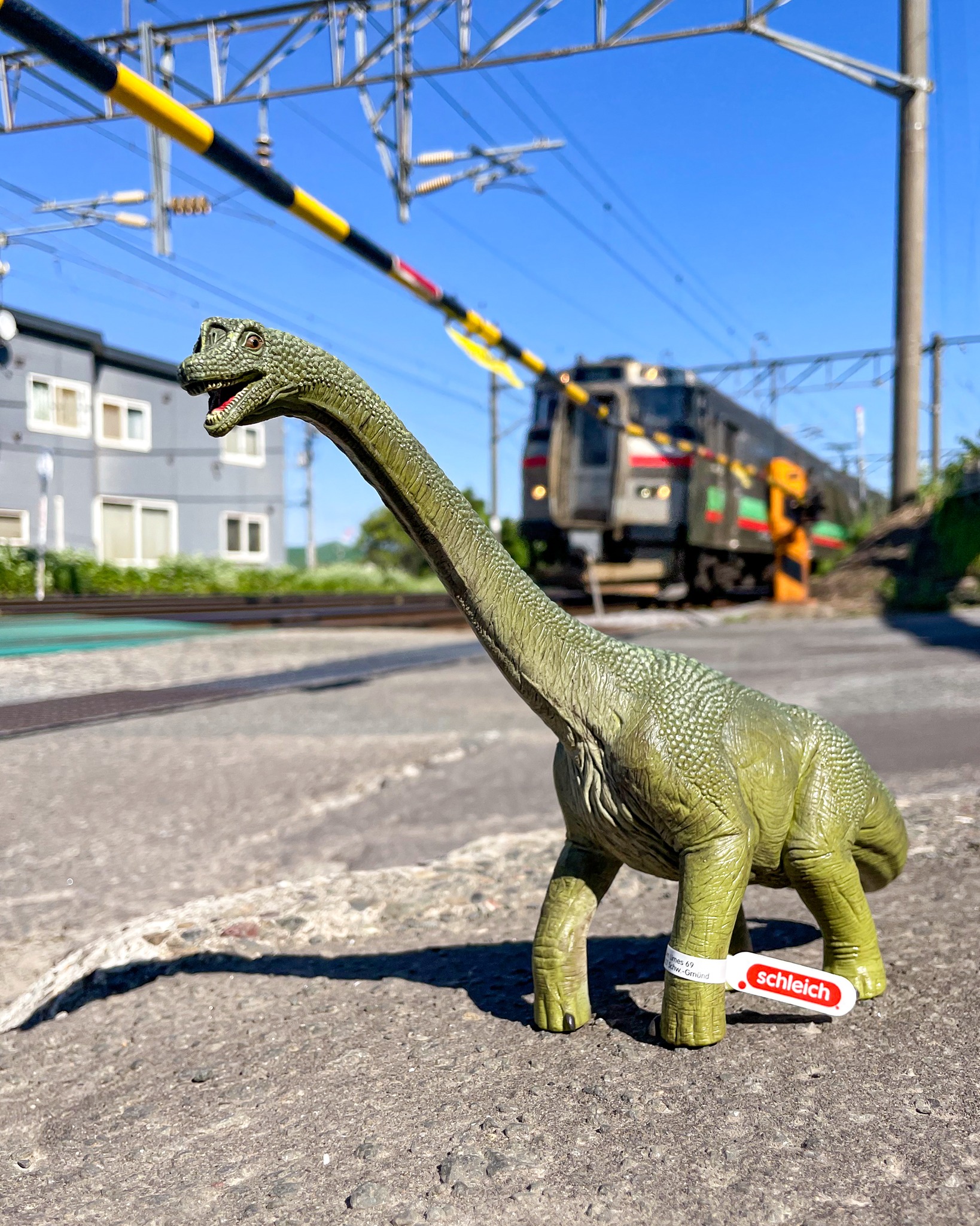 Schleich - シュライヒの恐竜で算数の時間です！ 答えはいくつ？ 登場 