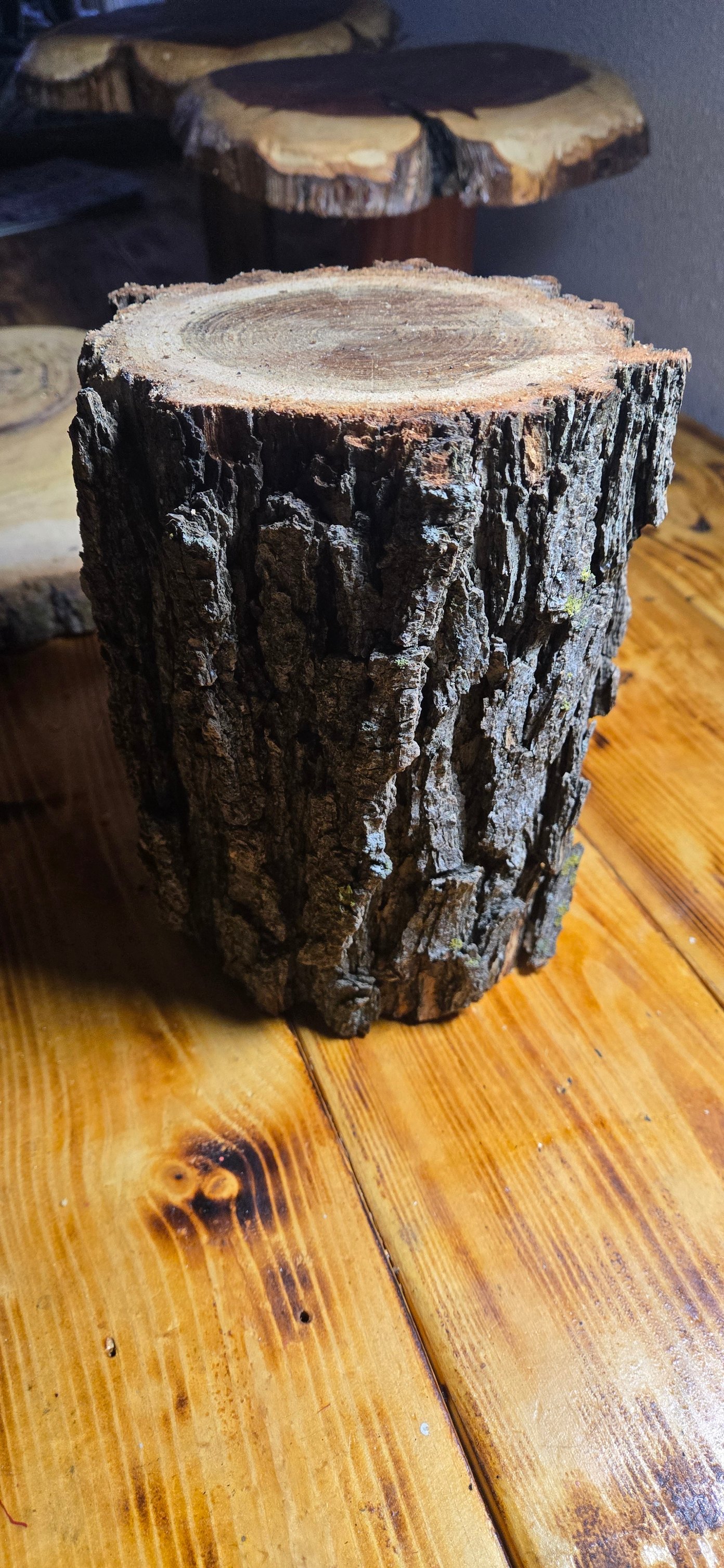 Is this a black walnut tree in Sioux Falls, SD?