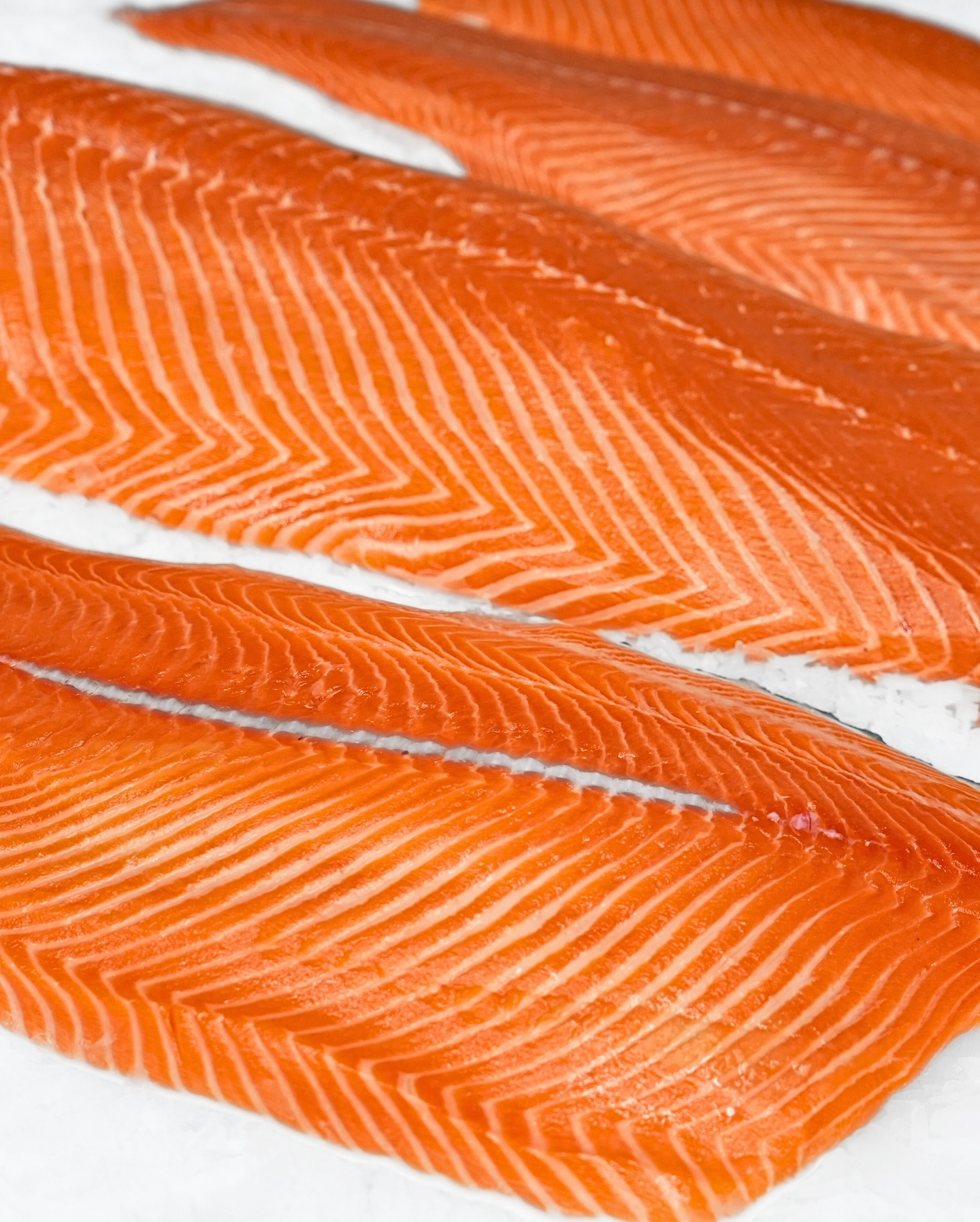 Profish, Ltd. | Washington D.C. DC