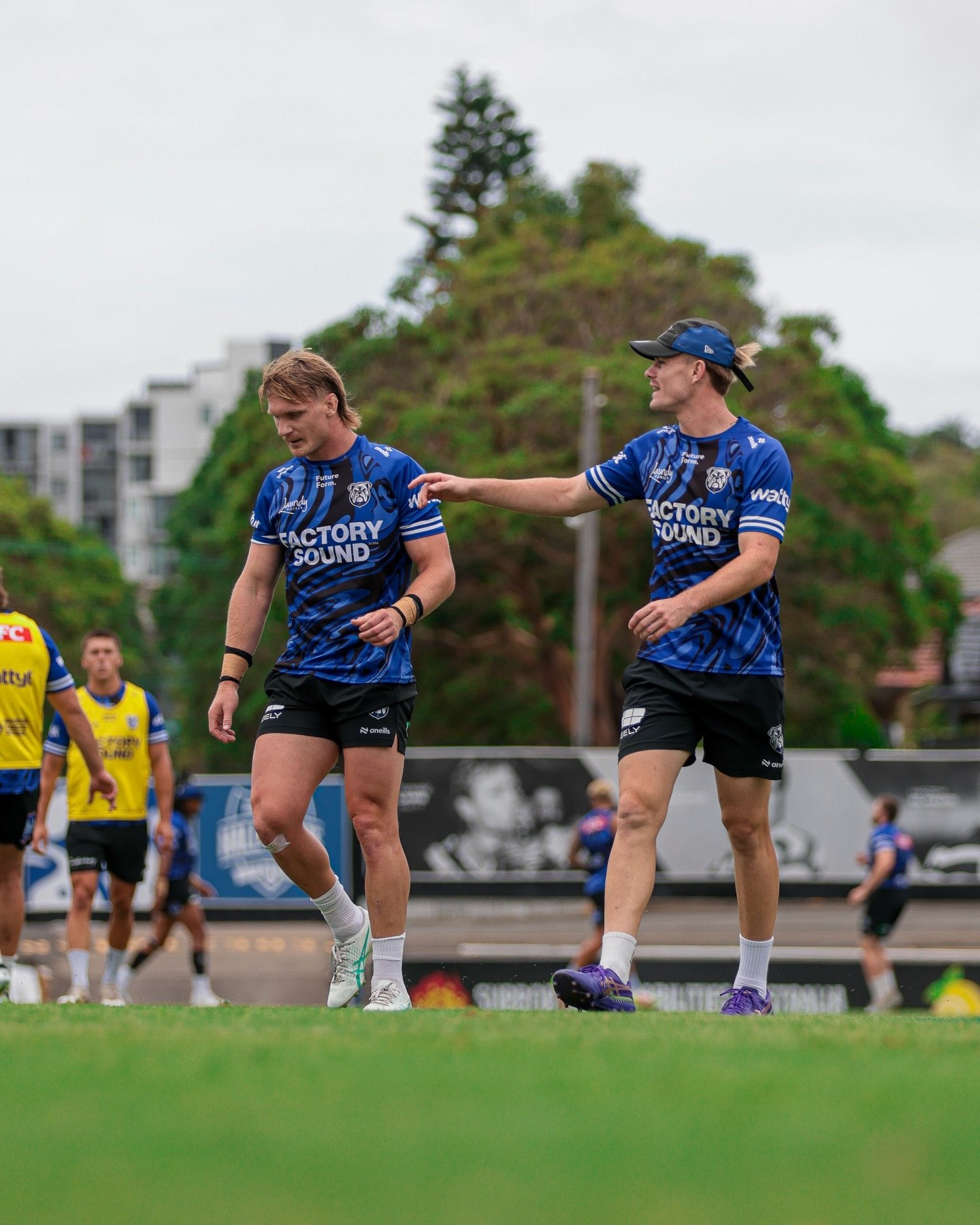 Canterbury-Bankstown... - Canterbury-Bankstown Bulldogs