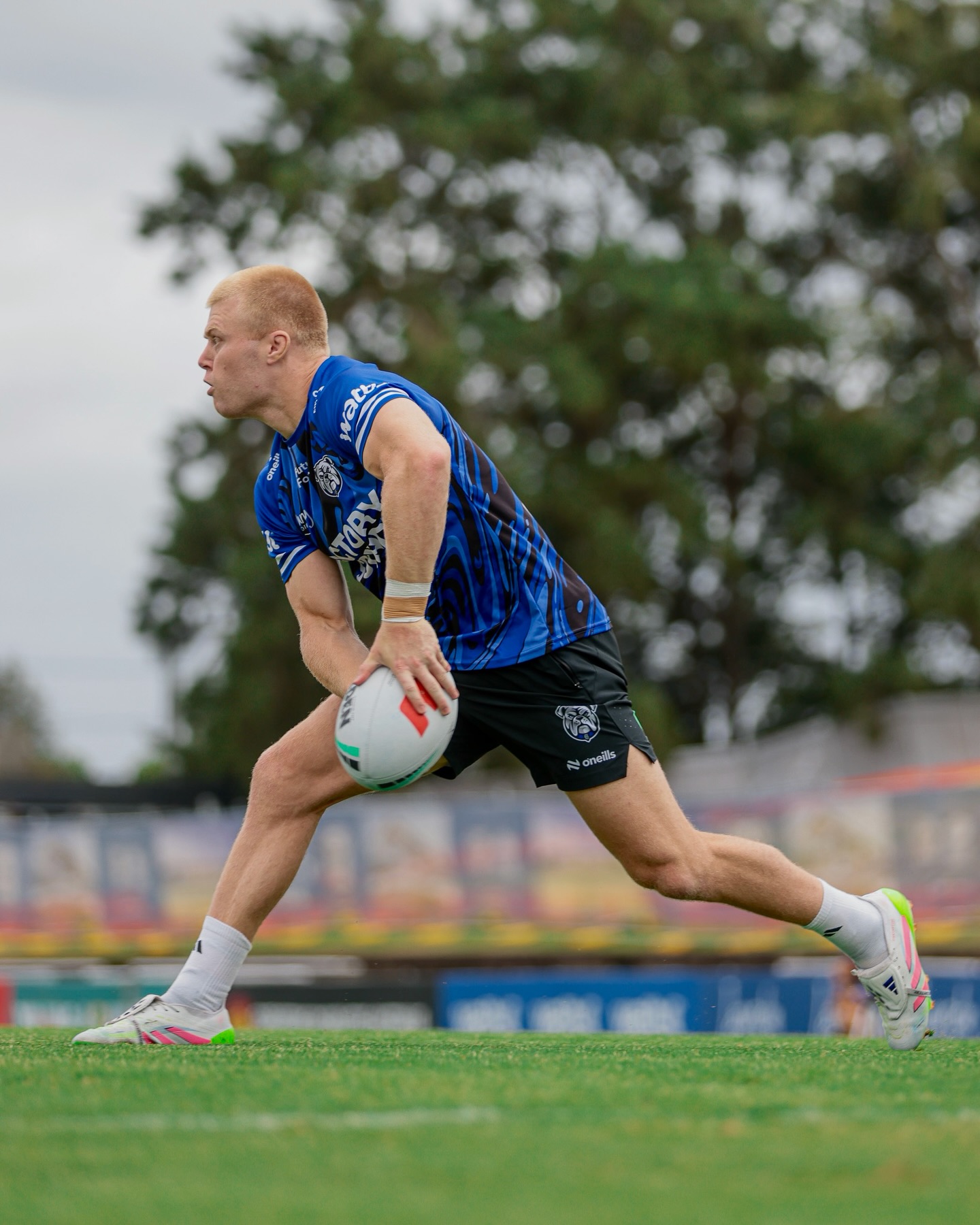 Canterbury-Bankstown... - Canterbury-Bankstown Bulldogs