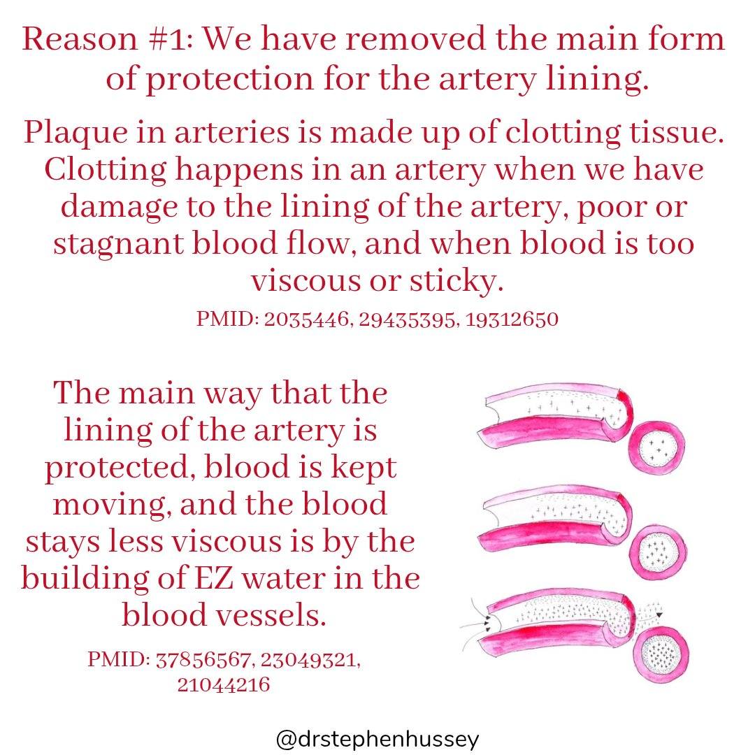 Dr. Stephen Hussey DC, MS... - Dr. Stephen Hussey DC, MS