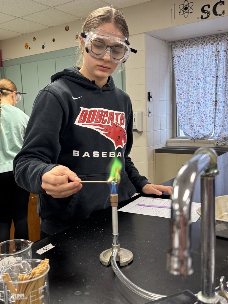 Ms. Bowles’s... - Western Dubuque Community School District | Facebook