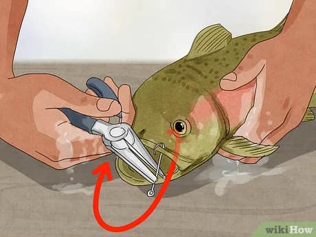 battery powered vibrating fishing lure patent Largemouth Bass specialty Line Spinner is a Fishing Pole Best Ice Size:#2-#4 humminbird-mega-live-targetlock-adaptor-kit-ultrex-45-52-740210-1
