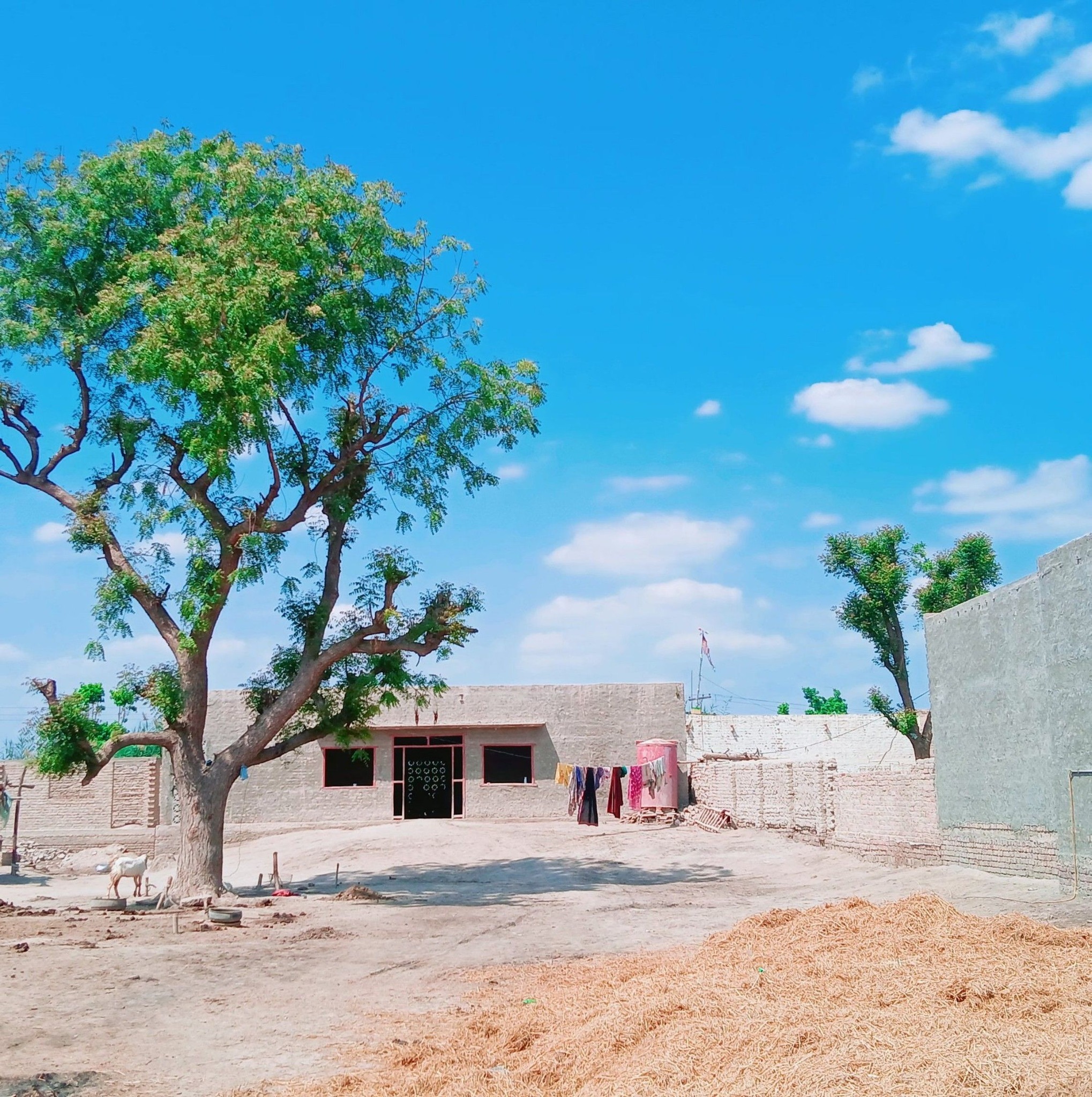 میرا گھر میرا گلشن 🏚️ | میرا گاؤں، سندھ