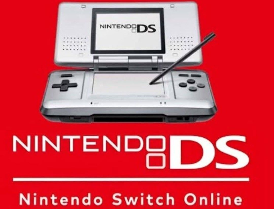 The Nintendo switch DS™️ 😅 This would actually be pretty cool