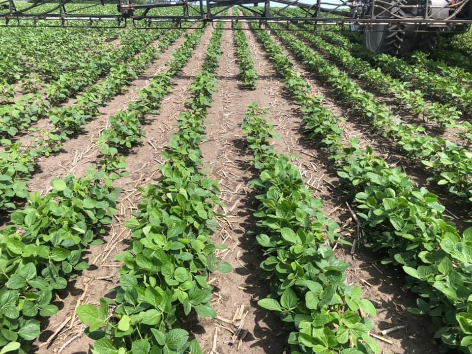 Louie's Ag Company | Dell Rapids SD