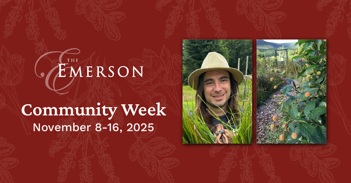 Guided Nature Walk with Wild Hudson Valley - Community Week 2025