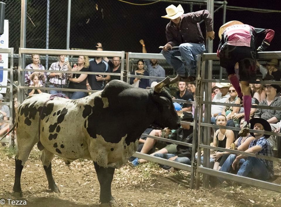 Visit - Get ready for a high-energy night of rodeo action as Gatton ...
