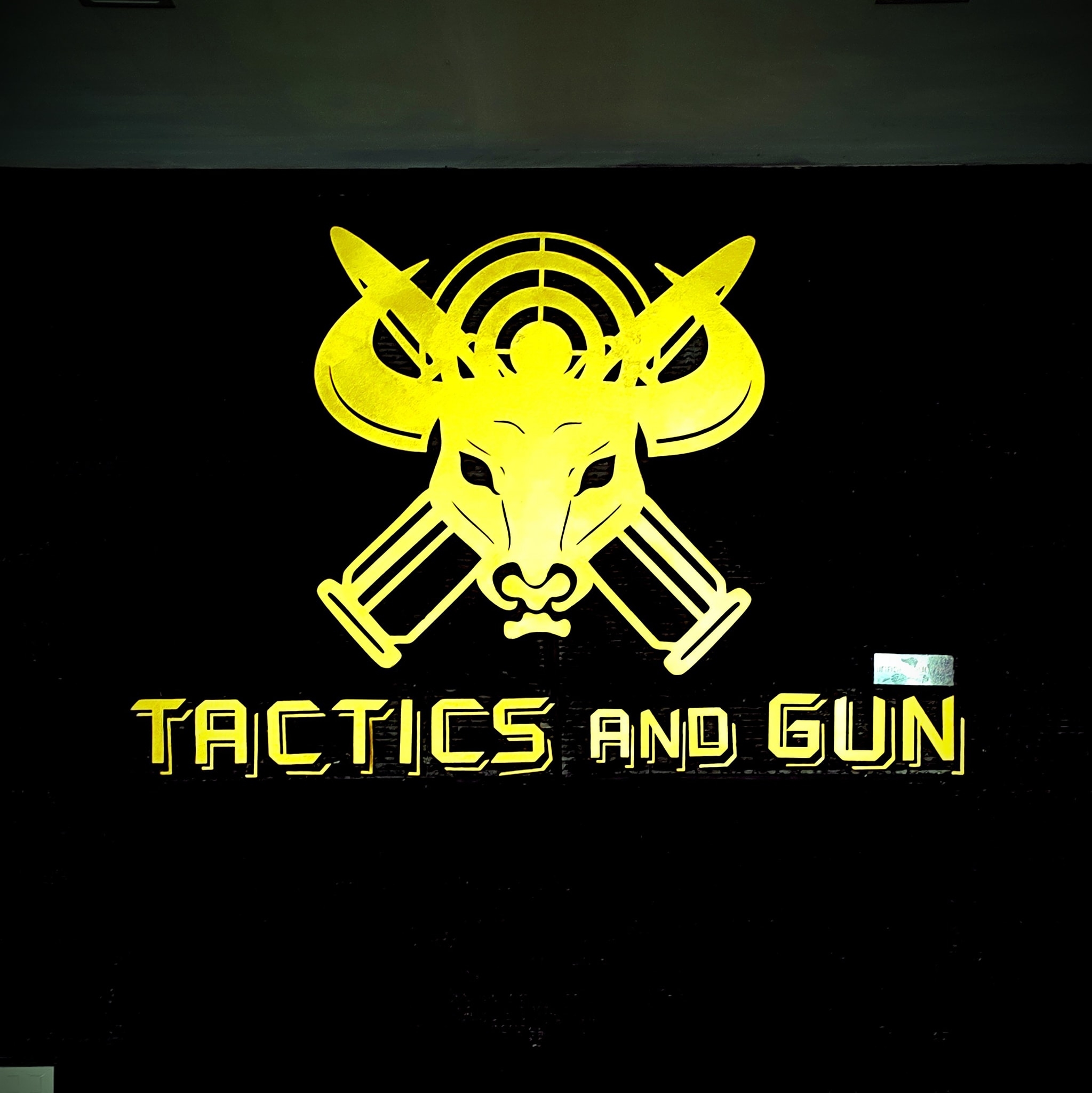 TACTICS AND GUN PATTAYA IDPA COURSE,ACTION SHOOTING COURSE Everyday 08. ...