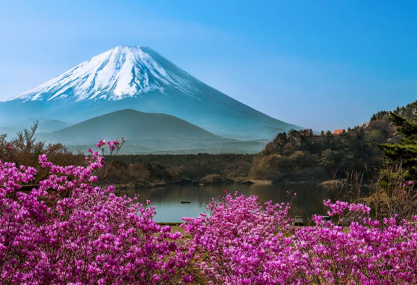 Mount Fuji in autumn from Lake Kawaguchi in Yamanashi Prefecture
