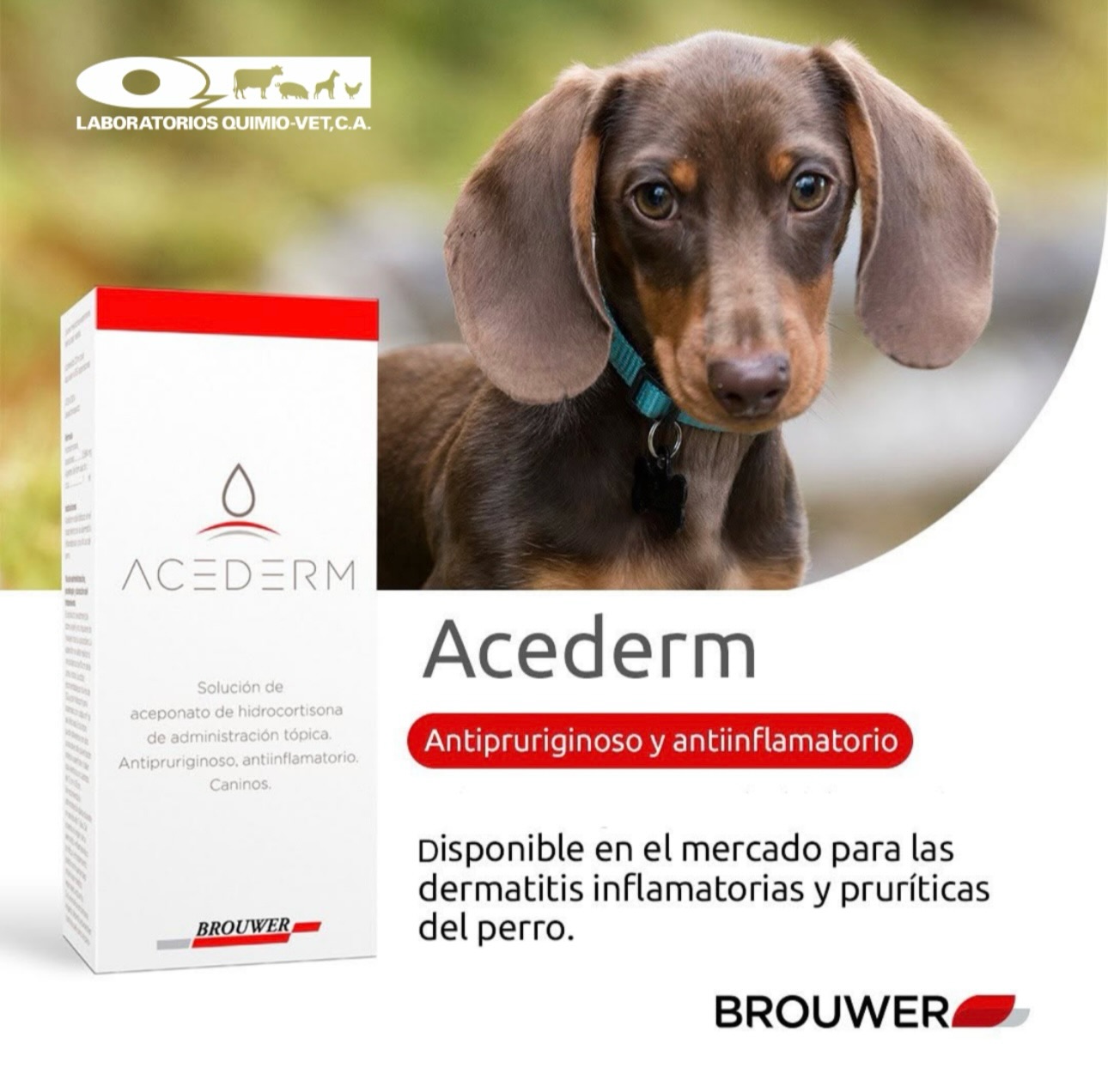 Laboratorios Quimio-Vet added a... - Laboratorios Quimio-Vet