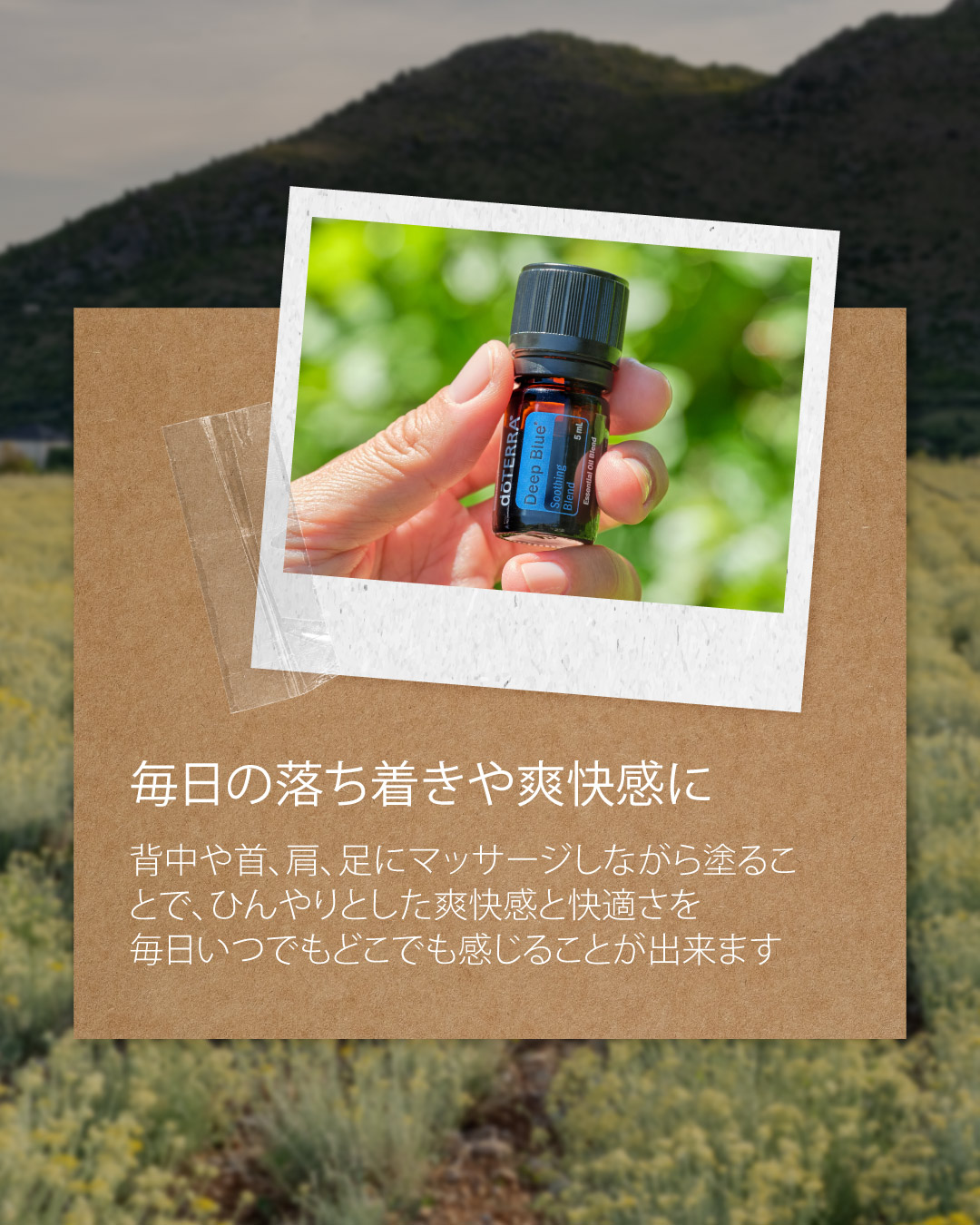 ◎シダーウッド◎ ドテラのシダーウッドは、お肌のケアに最適です