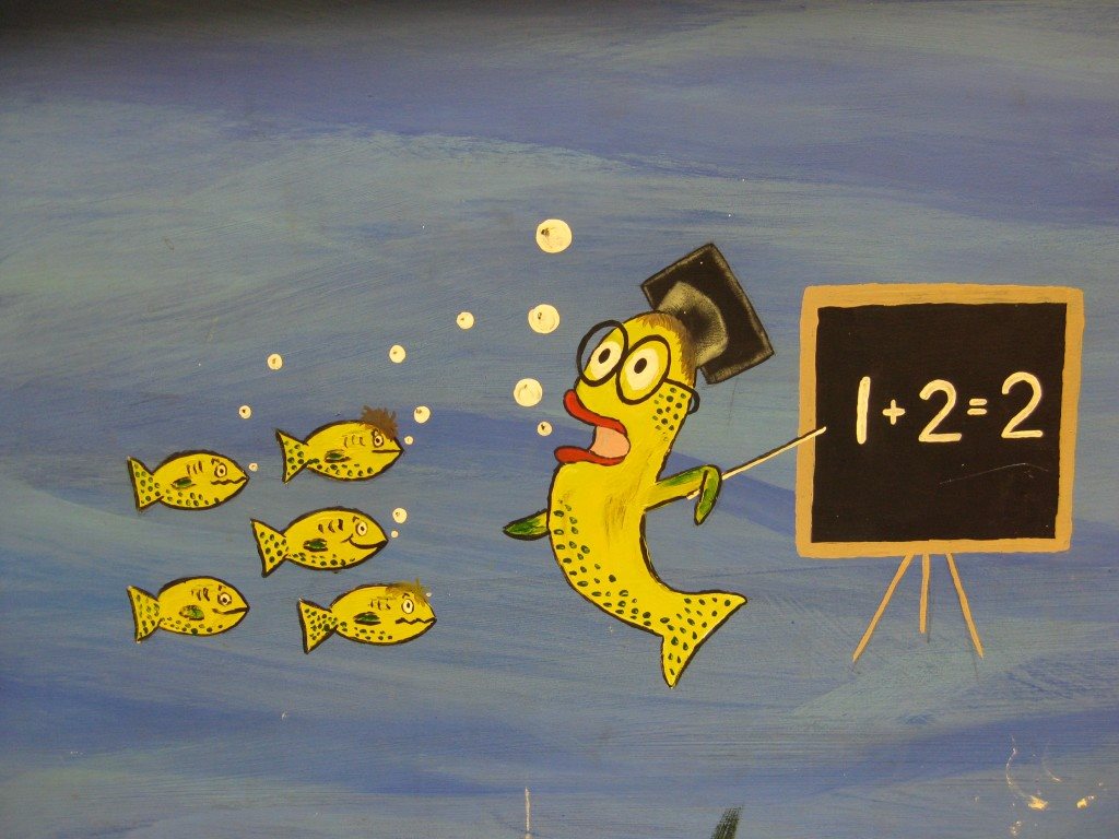 英文夠簡單easy Enough English 你知道 一群魚 叫做a School Of Fish嗎 其他的成群的動物又要用什麼詞來把牠們集合起來呢 一起來認識動物的collective Nouns 說到動物 只有單數的時候英文很簡單就是