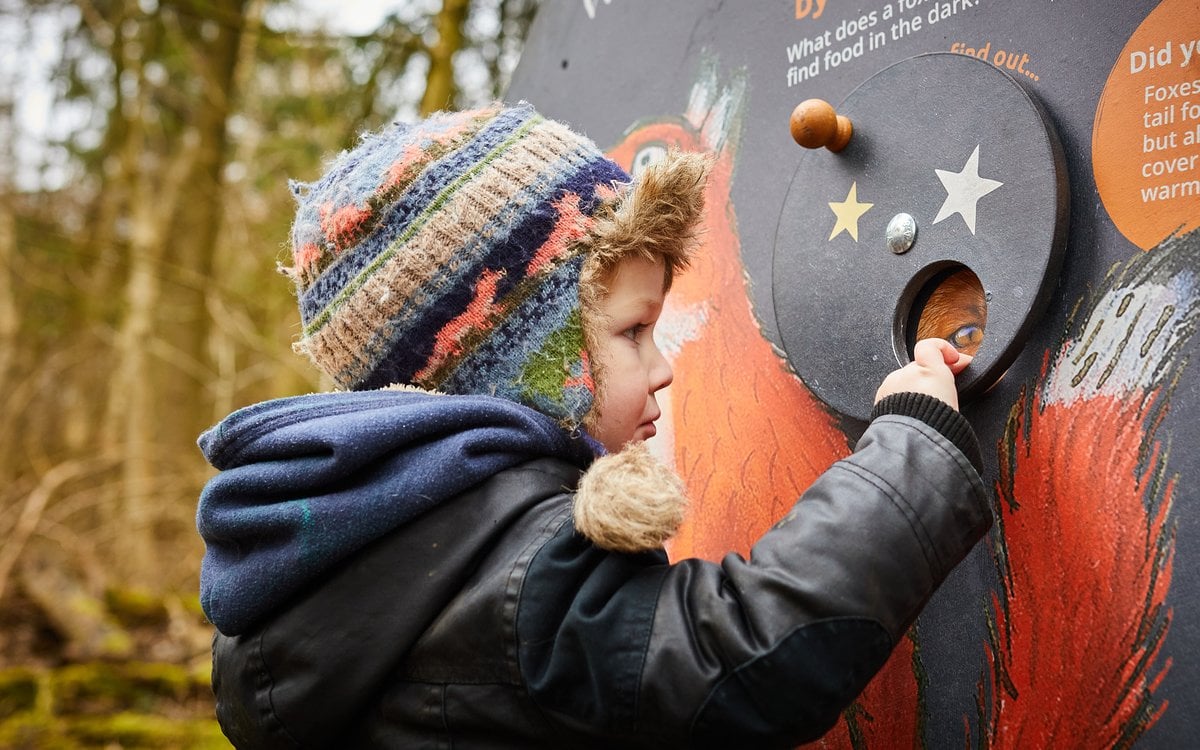 OUR BRAND NEW GRUFFALO... - Wendover Woods - Forestry England