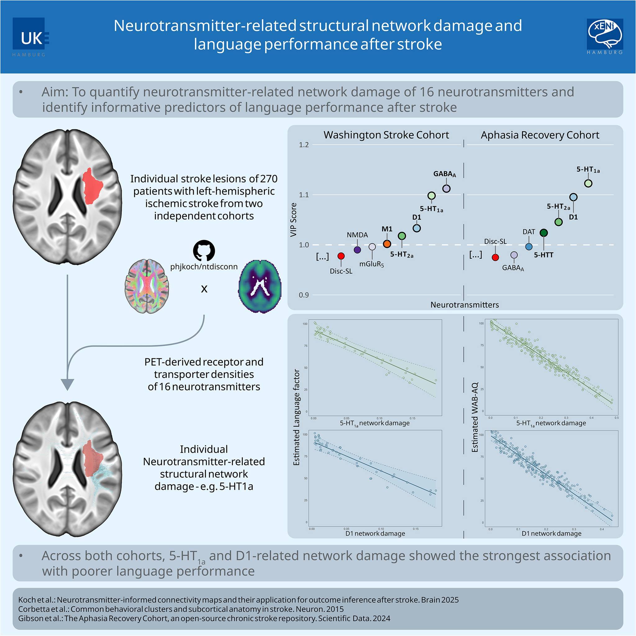 dihexa dopamine STROKE Damage to serotonergic (5-HT1A) and dopaminergic (D1) structural networks was associated with poorer language outcomes after left-hemispheric stroke across acute and chronic cohorts. A neurochemical network framework may help explain variability Boost your energy from Healthy Joints Flavor:Mocha