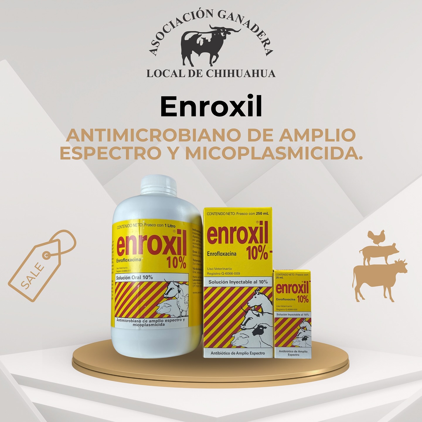 Asociación - • (Enrofloxacina) enroxil®️ Antimicrobiano de amplio ...