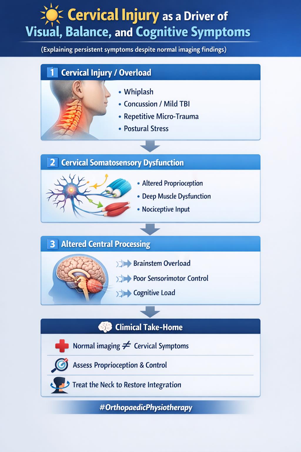 🔆 Cervical Injury as a Driver... - Orthopaedic Physiotherapy | Facebook