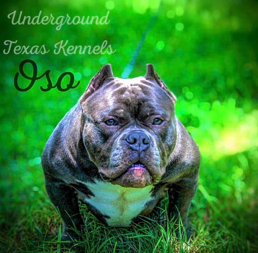 Check out our current inventory at... - Kenyon Auto Sales | Facebook