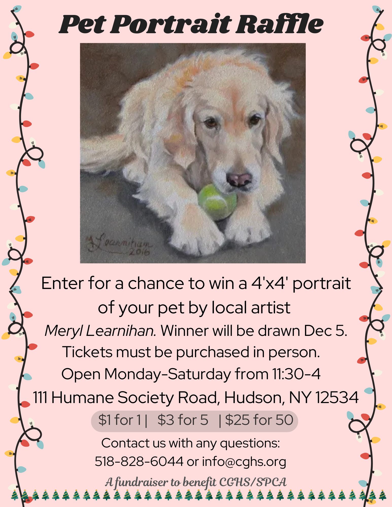 🎄 Looking for the... - Columbia-Greene Humane Society/SPCA | Facebook