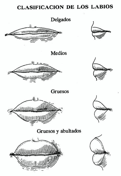 QUEILOSCOPIA Por: Anahí Mercado Cruz Criminóloga/Criminalista Álamo ...