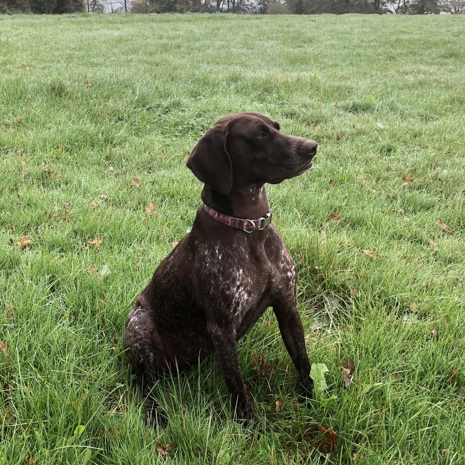 Hatches are battened down ready for my first storm. | Sian Wood