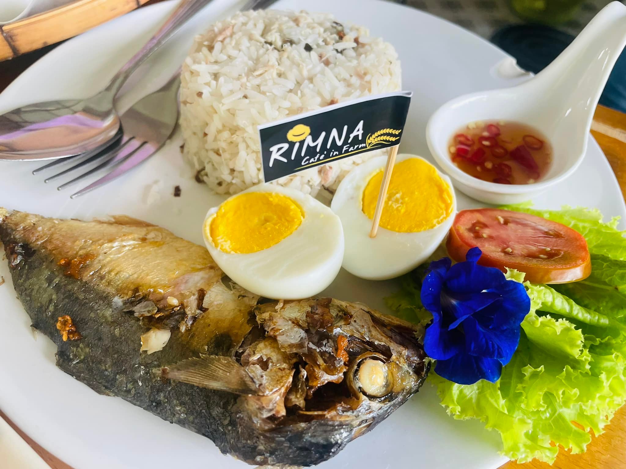 แวะพักผ่อน Rimna... - Rimna Cafe in Farm ริมนา คาเฟ่ | Facebook