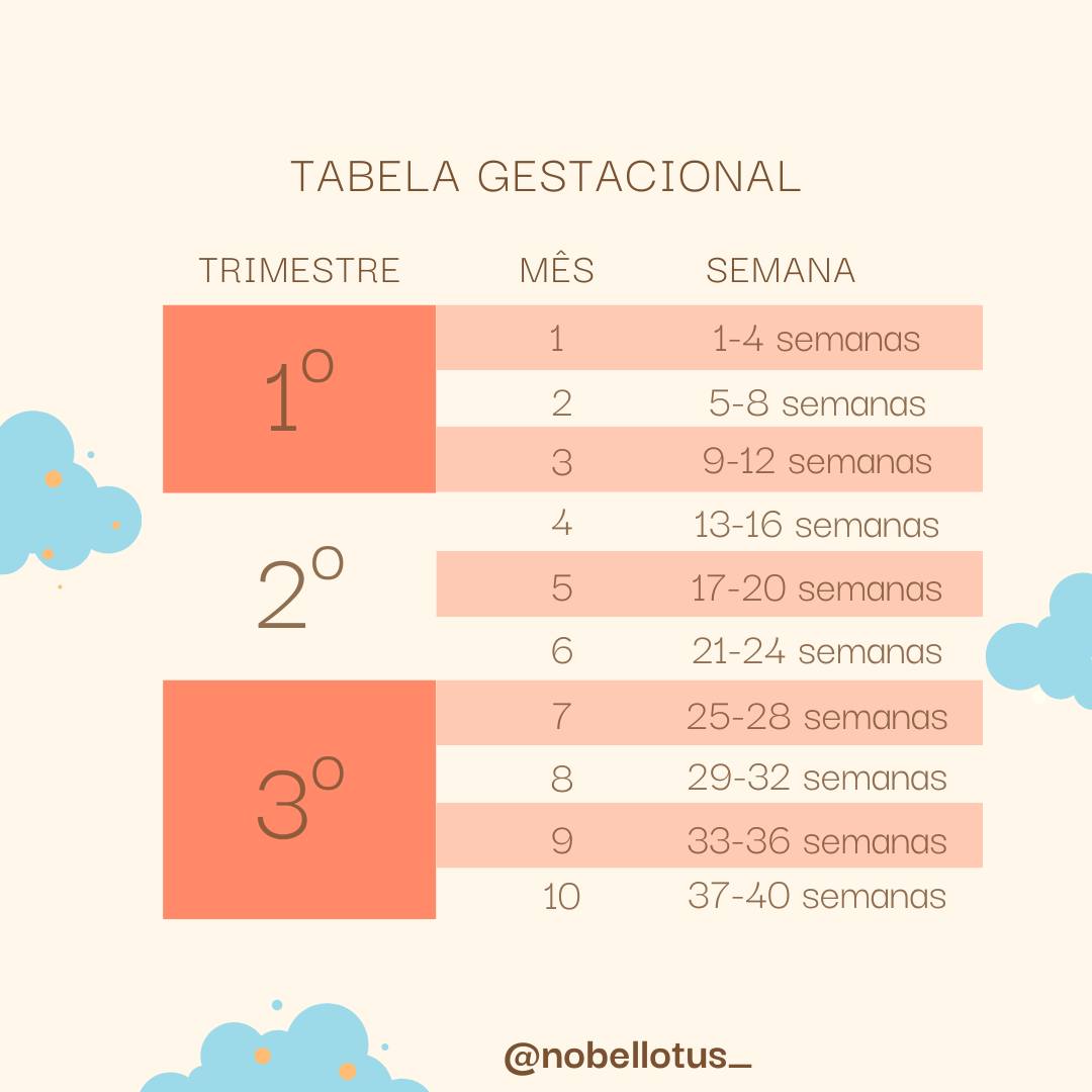 Nobel Lotus - A tabela gestacional é uma ferramenta que...