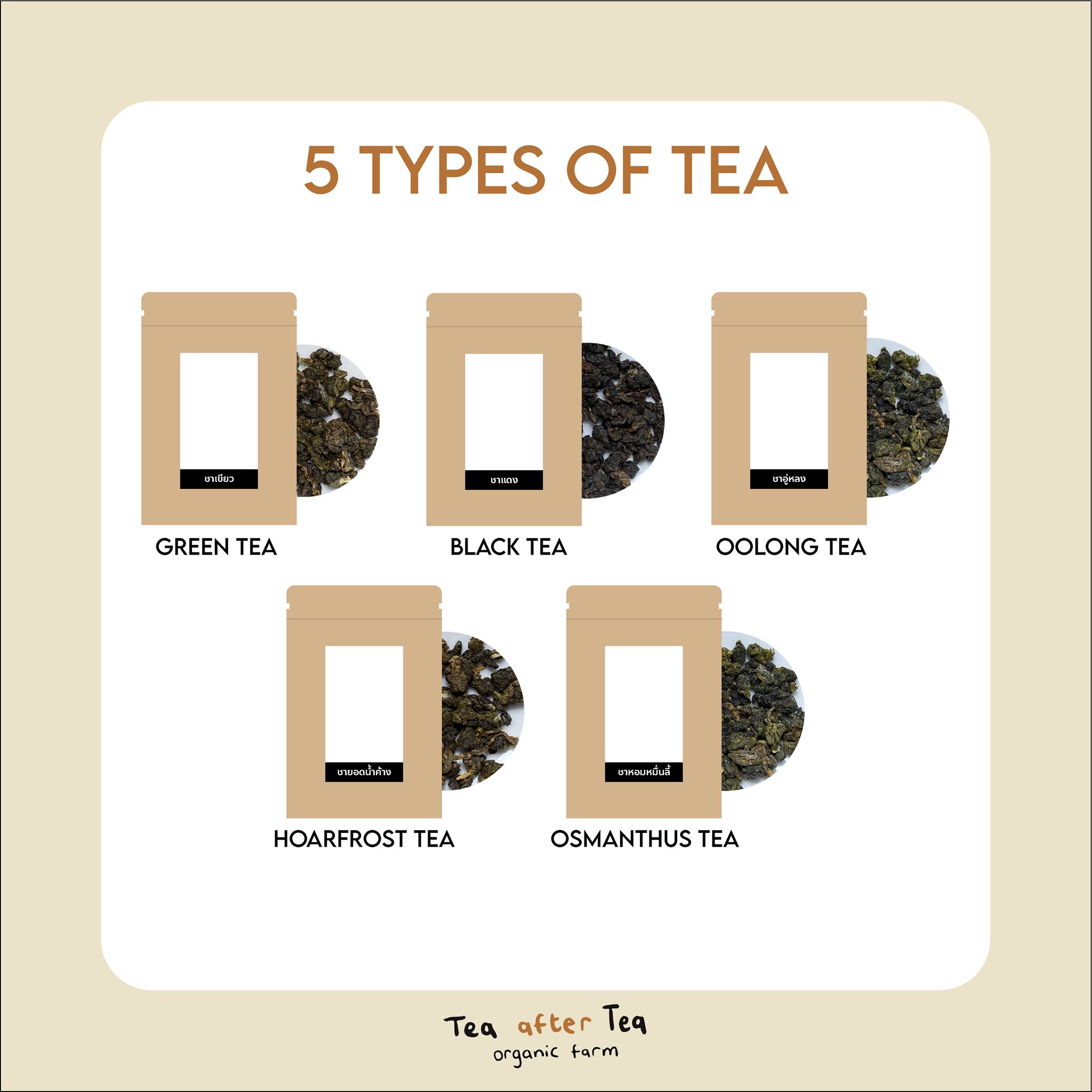 Tea After Tea - เกล็ดความรู้เพิ่มเติมของชาทั้ง 5... | Facebook