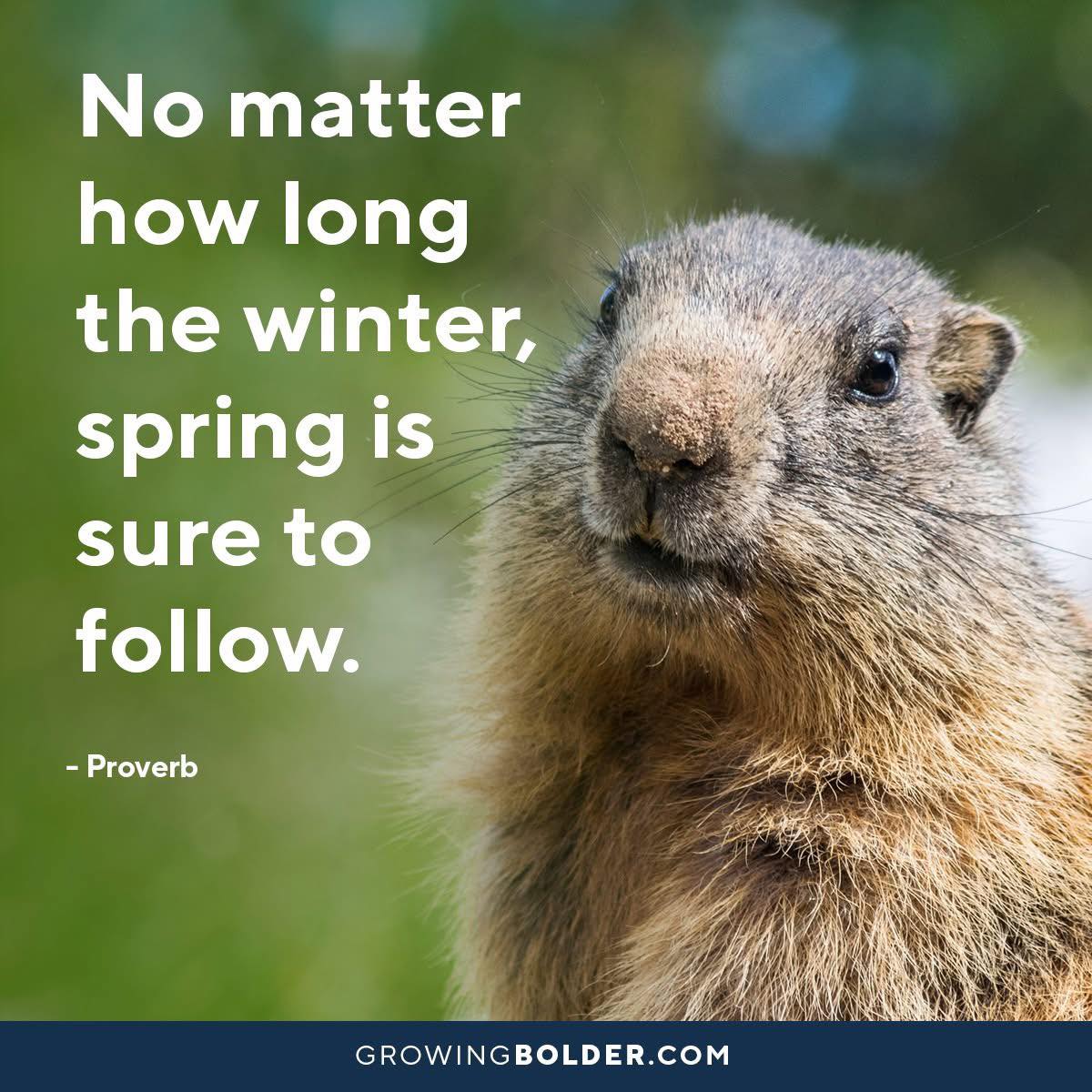 Amy - This is how I like to think about Groundhog Day. Thanks, Growing ...