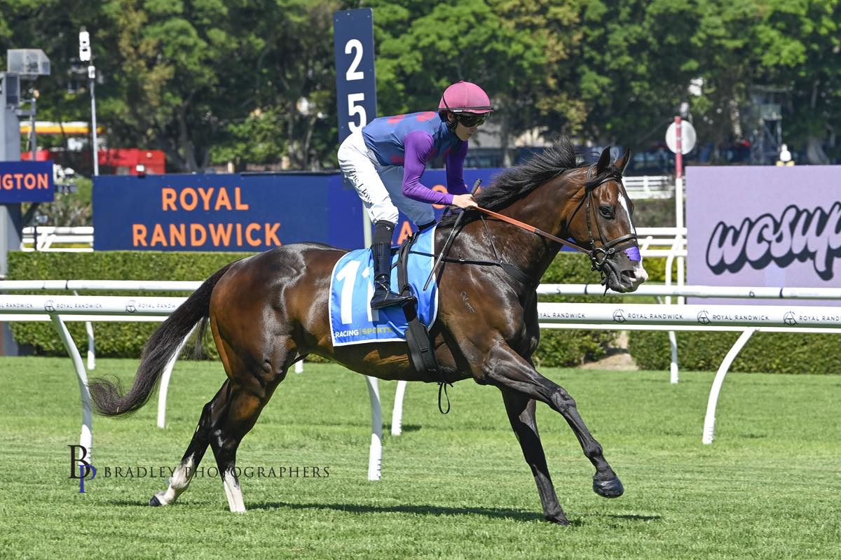 🟣 RUNNER UPDATE - RANDWICK 🟣... - Danny Williams Racing | Facebook