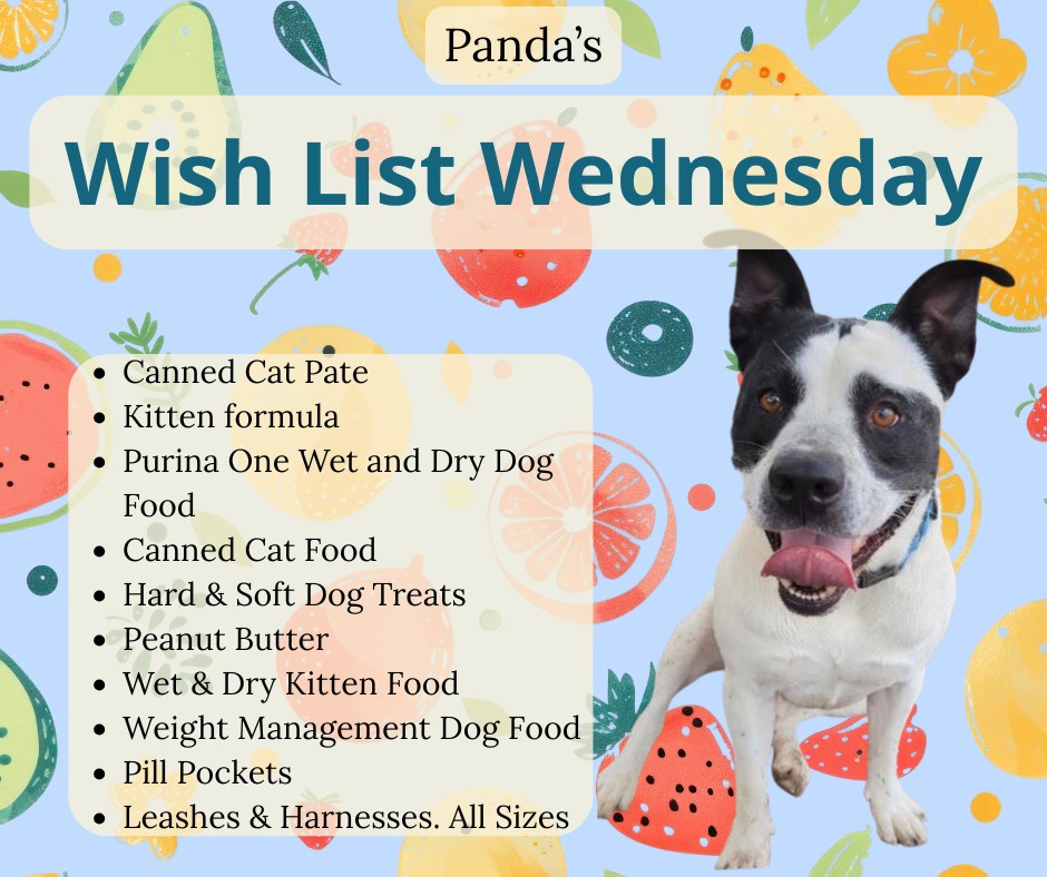 This Wish List Wednesday, Panda is asking for the following items