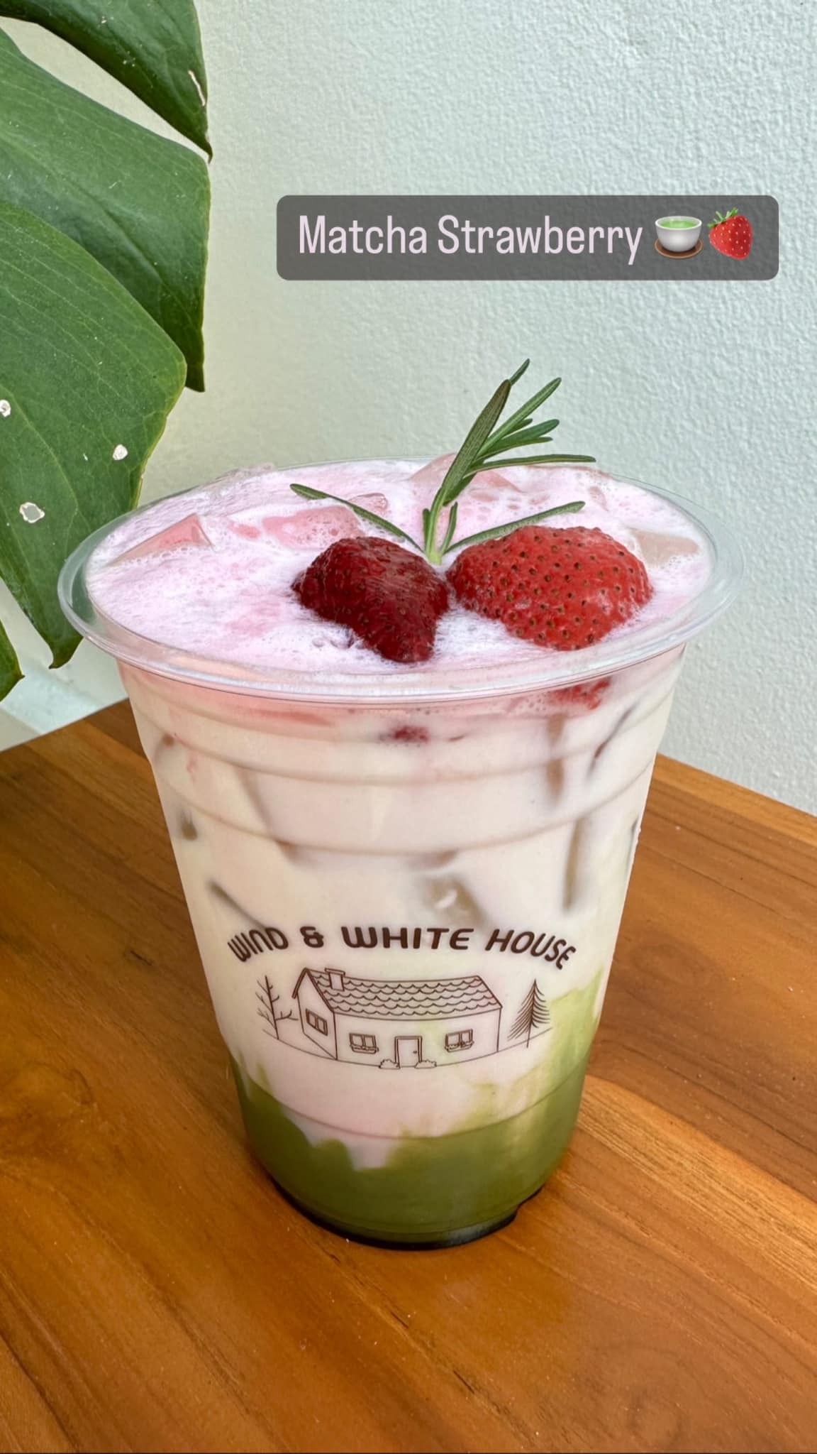 Matcha Strawberry 🍵🍓🫶🏻... - Wind & White House Cafe | Facebook