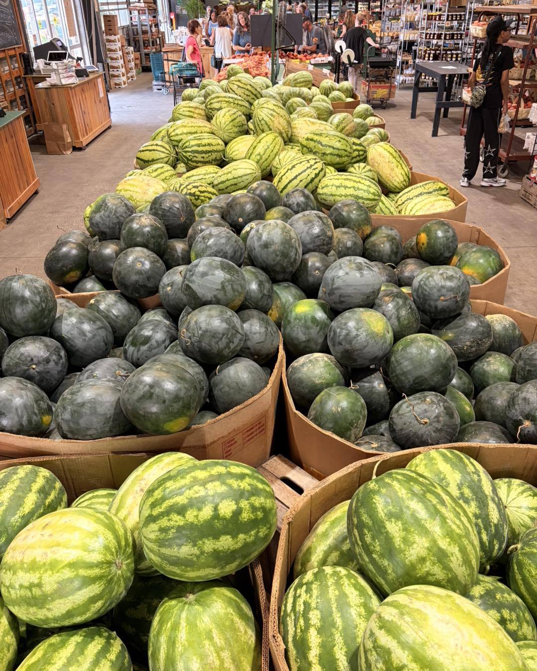 SEND HELP. 🍉 Watermelon Mountain has tripled in size and is now