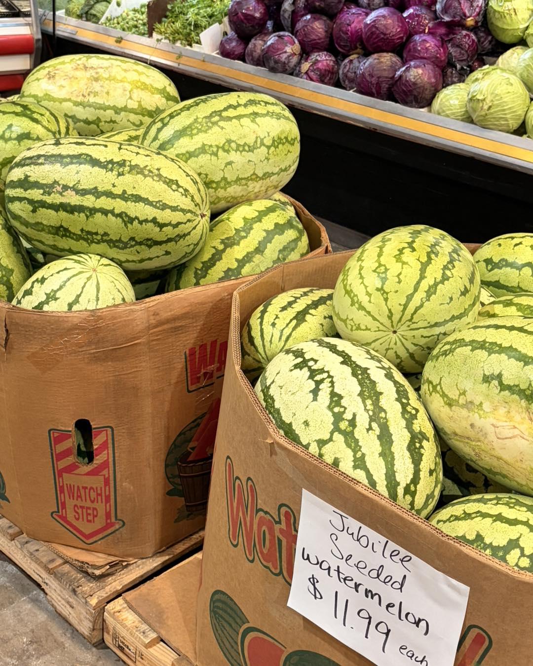 SEND HELP. 🍉 Watermelon Mountain has tripled in size and is now