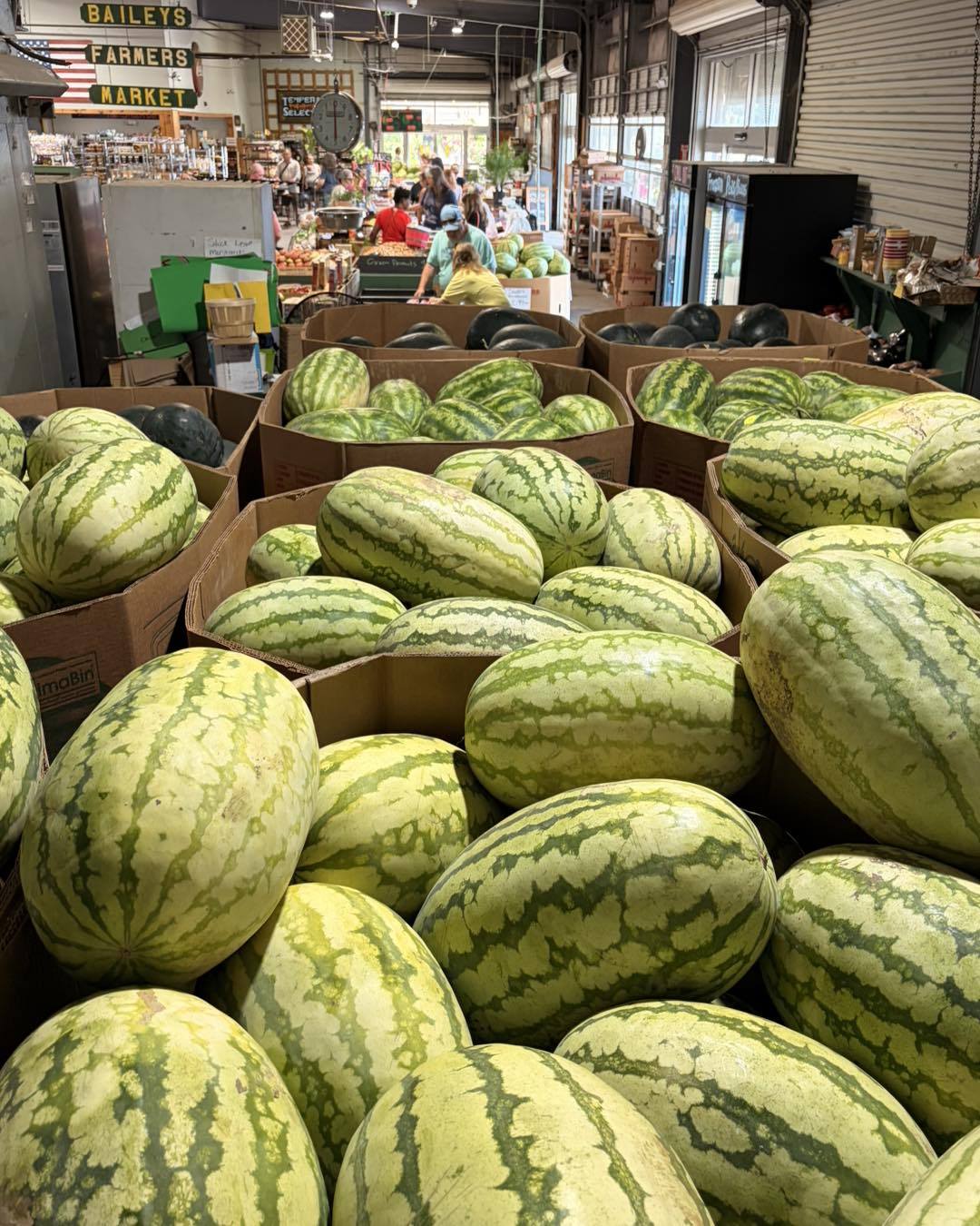 SEND HELP. 🍉 Watermelon Mountain has tripled in size and is now
