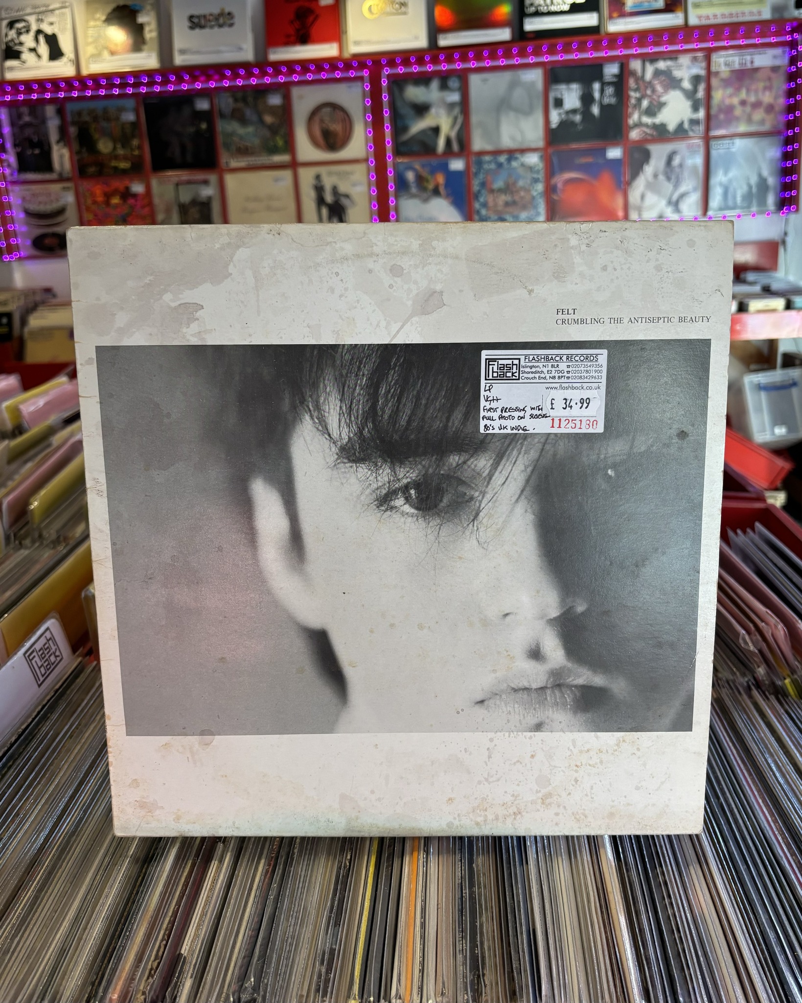 Felt's debut album Crumbling the Antiseptic Beauty